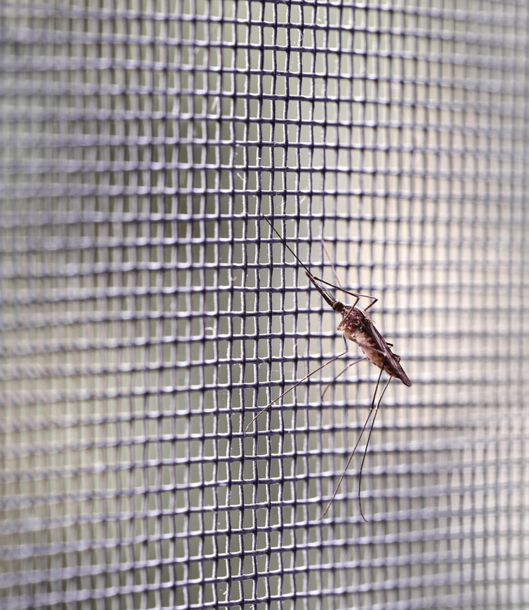 Insektenschutzgitter